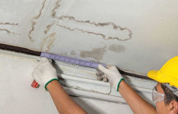 Reliable Flood Cleanup contractor in Livingston, LA by Water Damage Irwin